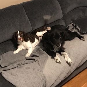 Meet your Posher, Todd